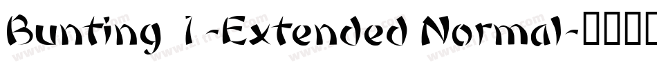 Bunting 1-Extended Normal字体转换